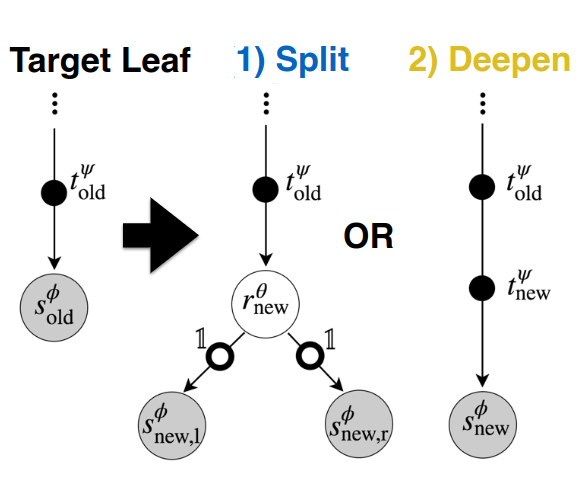 Growth phase of Adaptive Neural Trees
