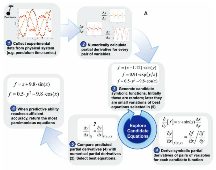 Computational approach for detecting conservation laws from experimentally collected data. (A)<br>First, calculate partial derivatives between variables from the data, then search for equations that may<br>describe a physical invariance. To measure how well an equation describes an invariance, derive the same<br>partial derivatives symbolically to compare with the data.